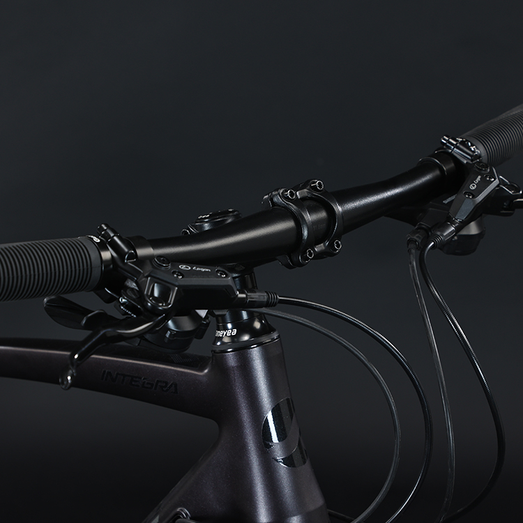 700*35C Tire Flat Bar Adventure Bike with Ordinary Pedal and Aluminum Fork Material