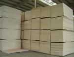 middle east market bintangor plywood high quality