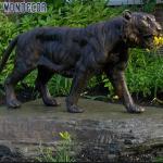 Outdoor Bronze Statues Sculpture Bronze Tiger Figurine Life Size 135cm