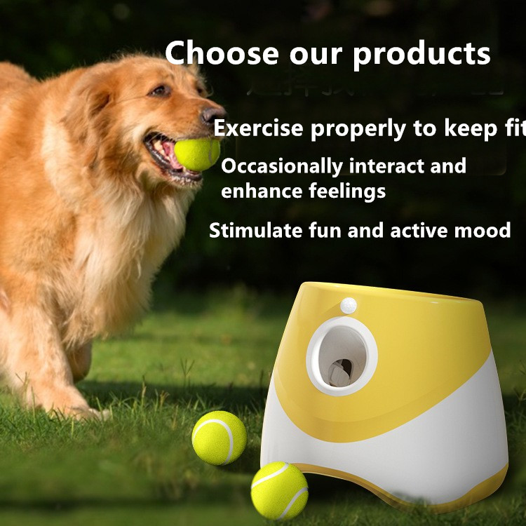 interactives ball launcher