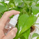 60/100/120/150/200ml Skincare Spray Bottle For Alcohol Disinfection Plastic