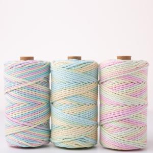 China ISO9001 Solid Braid Cotton Rope Colorful 3mm Twisted Macrame Cord factory