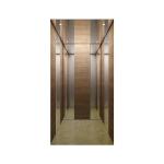 Classic Small Residential Home Villa Elevator 13 Persons Mirror Stainless Steel