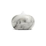 Home Electric Ultrasonic 100ml USB Aroma Essential Oil Diffuser