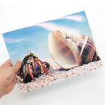 A4 One Side Glossy Super White Inkjet Printer Glossy Paper