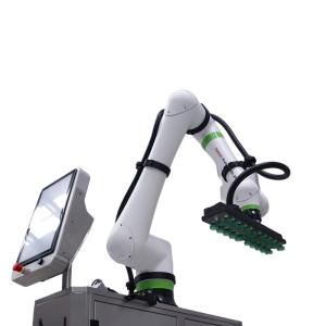 30kg Payload Fanuc Industrial Collaborative Robot Arm Palletizing Robotic