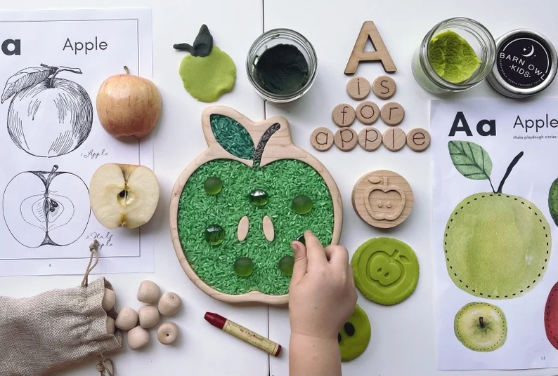Wood Tinker Sensory Sorting Tray Homeschool Lesson Play Board Plate Spring Toy Montessori Seed Nature Fruit Lifecycle