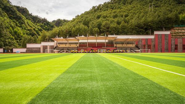 30mm Dark Green Turf Grass Professional Outdoor Soccer Artificial Sports