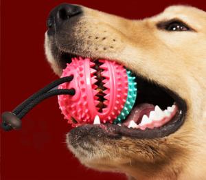China Chewy Dispensing Proof Dog Puzzle Training Ball On Rope For Dogs Puppies factory