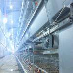 Pullet Rearing 102-272 Baby Chick Cage Q235 Carbon Steel Material