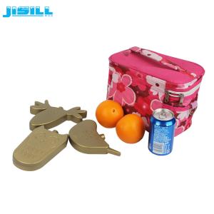 China Hot Cold Hard Shell Hdpe Plastic Cartoon Ice Pack Cute Freezer Cooler Packs factory