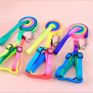 China Colorful Pet Traction Rope Nylon Quick Release For Dog factory