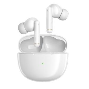 China BT5.1 Wireless Bluetooth Earphone ANC Noise Canceling Earbuds 4Mic factory