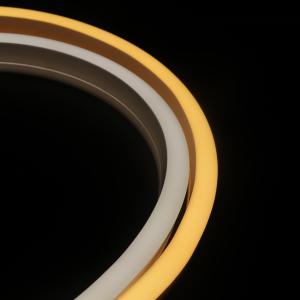 China ERP Silicone Neon LED Strip factory