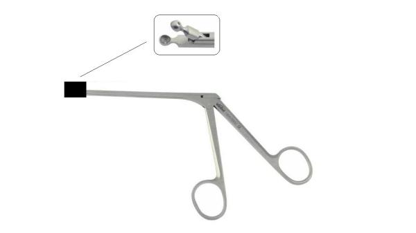 Ent Nasal-Pharyngeal Biopsy Forceps Medical Devices Reg./Record No. Zxzz20152220