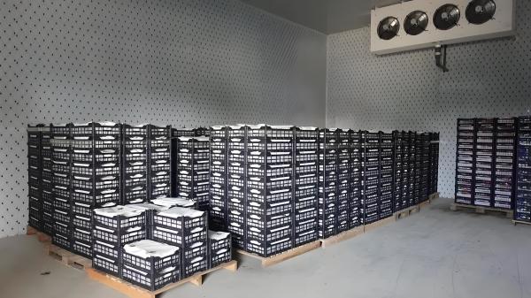 Electric Defrosting Quick Freeze Cold Storage Cold Room With Bitzer / Copeland