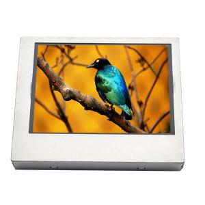 China LQ035Q5DG11 3.5 inch LCD Display Screen for Car GPS Navigation factory