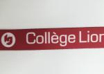 Recycled Heavy Duty Lanyard / Dye Sublimation Lanyards With Portable Phone