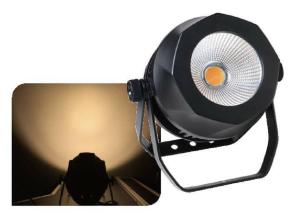 China Park Building Outdoor COB LED Par Can Lights IP65 100 Watt LED Stage Wash Lighting factory