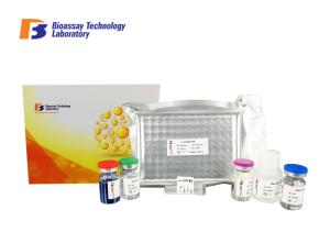 China Human Anandamide Enzyme Assay Kits 96 Wells Oem With High Specificity factory