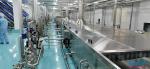 500T/D Industrial Mango Processing Line Turnkey Service SUS304 / 316L
