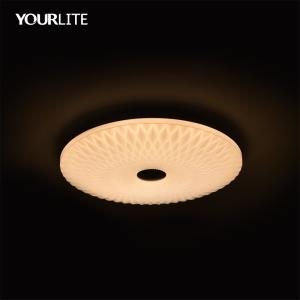 China Smart Ceiling Light CCT + Dimmable(CE2314WF2 60W) factory