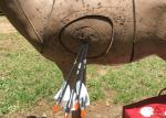 Whole Sales Arrows Supplier, Id .165".204",245", 4.2/5.18/6.2mm Hunting/Target
