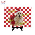 Unbreakable Tempered Glass Cutting Board For Kitchen with Customized Logo