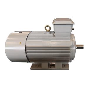 China Three Phase Slip Ring Induction Motor Asynchronous Low Voltage AC Motor ISO9001 factory