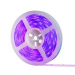Flexible Smart Rgb Led Strip , Alexa Controlled Led Strip 1 Year Warranty