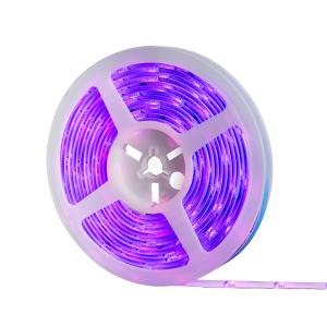 China Flexible Smart Rgb Led Strip , Alexa Controlled Led Strip 1 Year Warranty factory