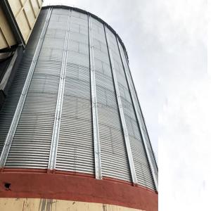 China High Capacity Stainless Steel Maize Corn Storage Silo for Paddy/Corn in Uganda Market factory