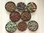 Electricity Stainless Steel Pet Snack Cat Dog Food Making Machine for Easy