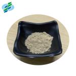 Powdered Lotus Leaf Extract Nuciferine 10% 50% 98% For Lose Weight Products