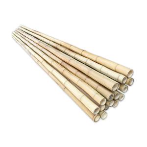 China Gardending 4M 12 Foot Decorative Long Thick Bamboo Pole factory