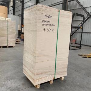 China 165gram 185gram Paper Cup Sheet Paper Cup Making Raw Material factory