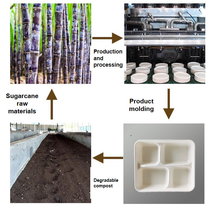 6x6 inch Biodegradable Clamshell Boxes , Bagasse Hamburger Box