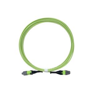 China KEXINT 12 Core OM5 Fiber Optic Patch Cord 2.0mm 5M Type B Multimode factory