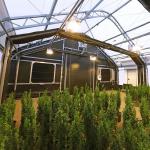 Agricultural Tunnel Fully Automated Light Deprivation Greenhouse Single-span