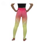 Lightweight Fitness Ladies Shaping Workout Leggings Yoga Athletic Wear Anti UV