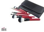 Eco Friendly Professional Cosmetic Makeup Brush Set / Pink Makeup Brushes