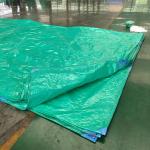 Tear-Resistant PE Coating Truck Cover 100% Waterproof Cargo Cover in Africa