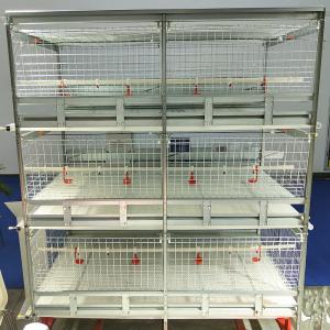 China Automatic Q235A H Type Broiler Chicken Cage 150x100x44cm Size factory