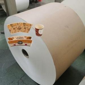 China PE Coated greaseproof paper roll for beverage paper cups on sale