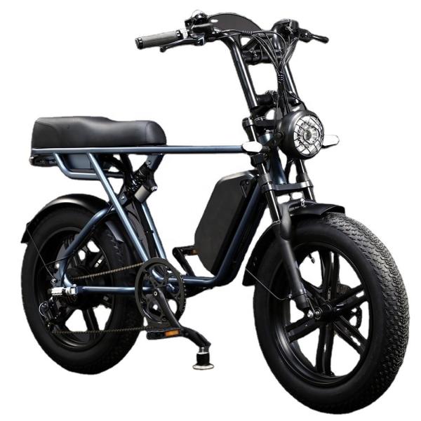 Full Suspension 48V Fat Tire Electric Bike 750W With LCD Display And Rear Hub