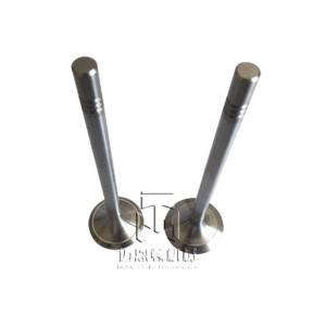 China Inlet Valve And Exhaust Valve 04903005 04900685 0490 3005 0490 0685 4903005 For TCD2013 4V TAD561 TAD560 factory