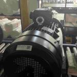 Dust Proof High Voltage Induction Motors