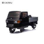 CJ-HZL-A022 3 Wheel Electric Tricycle Food Truck Ape Coffee Bar Tuk Tuk New