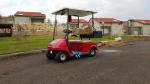 Customized Electric Car Mini Golf Cart 2 Seater With Imported Transaxle For