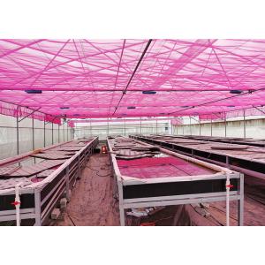 Durable Nutrient Recycling Deep Water Grow System Recirculating Dwc System
